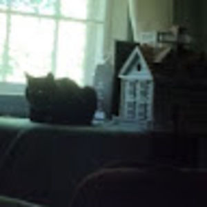 Meet your Posher, Lynn